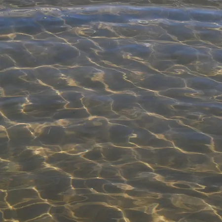 Hotel Embassy Pesaro